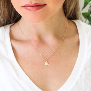 14k Gold Filled Sea Turtle Dainty Necklace